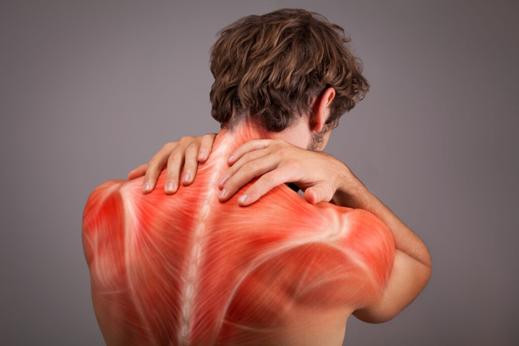 Shoulder Pain